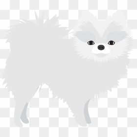 Pomeranian, HD Png Download - white dog png