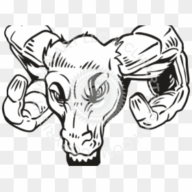 How To Draw A Ram Head - Black And White Angry Ram Head, HD Png Download - ram head png