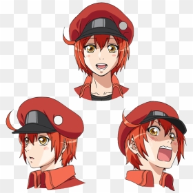 はたらく 細胞 アニメ 赤血球, HD Png Download - red blood cells png