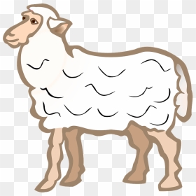 Sheep Clipart - Sheep Coloured, HD Png Download - sheep clipart png