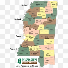 Physical Map Of Mississippi, HD Png Download - ashley greene png