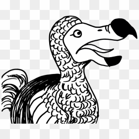 Dodo - Duck, HD Png Download - dodo bird png