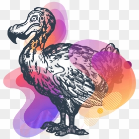 Vector Graphics, HD Png Download - dodo bird png