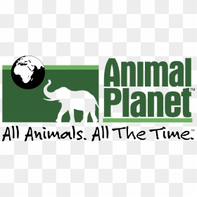 Animal Planet 1 Logo Png Transparent - Transparent Animal Planet Logo, Png Download - animal logo png