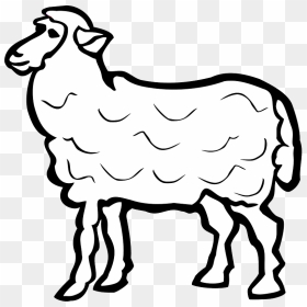 Sheep Clipart - Arabic Name Of Sheep, HD Png Download - sheep clipart png