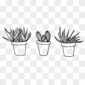 28 Collection Of Plant Drawing Png - Png Aesthetic Black And White, Transparent Png - plant png tumblr