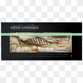 Insect, HD Png Download - rainbow trout png