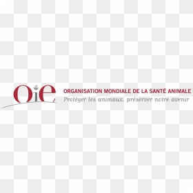 Oie Logo World Organisation For Animal Health [oie - World Organisation For Animal Health, HD Png Download - animal logo png