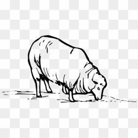 Earting Sheep Png Icons - Sheep Clip Art, Transparent Png - sheep clipart png