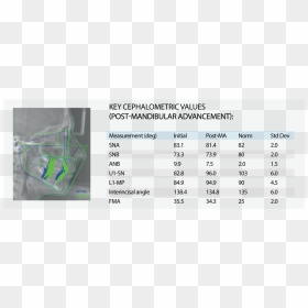 Screenshot, HD Png Download - bite marks png