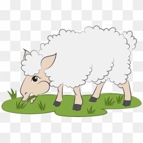 Sheep Clipart - Cartoon, HD Png Download - sheep clipart png
