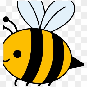 Bumble Bee Drawing - Bumblebee Cartoon Drawing, HD Png Download - bee clip art png