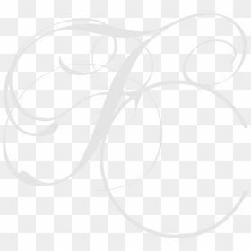 Fresh Circuits - Circle, HD Png Download - coming soon ribbon png
