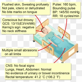 Diagram, HD Png Download - bite marks png