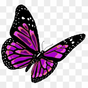Now You Can Download Butterfly Transparent Png File - Butterfly Png, Png Download - butterfly transparent png