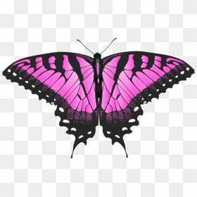 Transparent Handle Png - Butterfly Wings Yellow Tiger Swallowtail, Png Download - butterfly transparent png