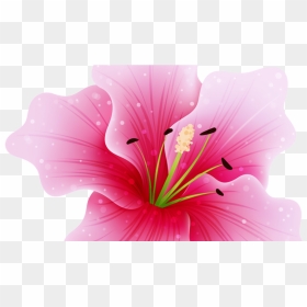 Pink Hawaii Flower Png , Png Download - Clip Art, Transparent Png - hawaii flower png