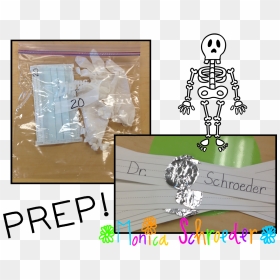 The Schroeder Page - Illustration, HD Png Download - skeletal system png