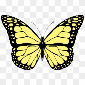 Butterfly Outline No Background, HD Png Download - butterfly transparent png