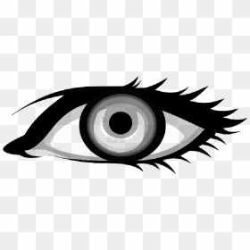 Eyes, Eye, Part, Blue, Body, Pupil, Lids, Lid - Blue Eyes Vector Png, Transparent Png - pupil png