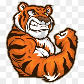 Power Tiger - Tiger Mascot Logo Png, Transparent Png - tiger scratch png