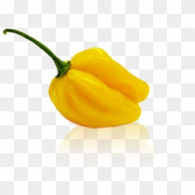 Pepper Transparent Habanero - Yellow Pepper, HD Png Download - habanero png