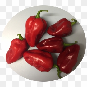 Tabasco Pepper, HD Png Download - habanero png