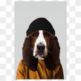 Fred The Basset Hound Art Card - Basset Hound, HD Png Download - basset hound png