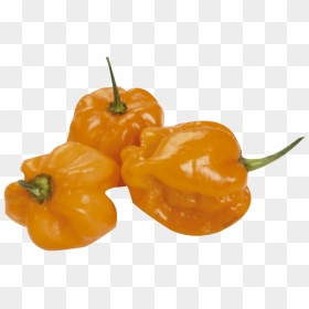 Habanero Peppers, HD Png Download - habanero png