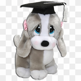 Graduation Sad Sam And Honey Basset Hounds - Graduation Stuffed Animals, HD Png Download - basset hound png