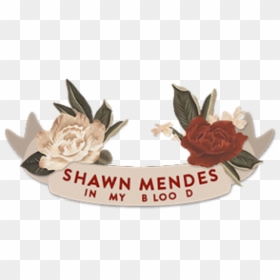 Transparent Blood Cut Png - Shawn Mendes Logo Transparent, Png Download - blood cut png