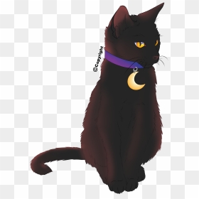Halloween Black Cat With Moon Collar - Moon Cat Collar, HD Png Download - halloween black cat png
