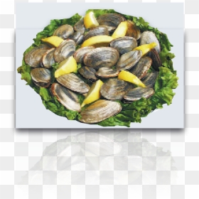 Steamed Clams - Mussel, HD Png Download - clams png
