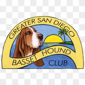 Basset Hound, HD Png Download - basset hound png