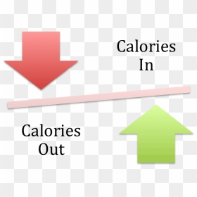 How Many Calories To Lose Weight - Cattell's Theory On Fluid And Crystallized Intelligence, HD Png Download - lose weight png