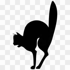 Transparent Halloween Black Cat Png - Jack-o'-lantern, Png Download - halloween black cat png