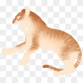 Siberian Tiger, HD Png Download - tiger scratch png