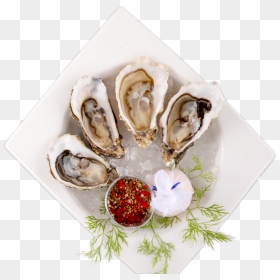 Dish Img1 1 - Tiostrea Chilensis, HD Png Download - clams png