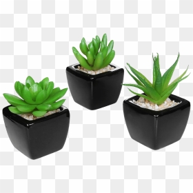 Set Of Modern Home Decor Mini Succulent - Small Fake Plant Decor, HD Png Download - small plant png