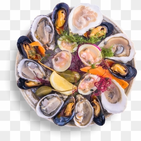 Tiostrea Chilensis, HD Png Download - clams png