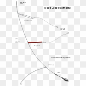 Blood Loop Paternoster - Tie A Paternoster Rig, HD Png Download - blood cut png