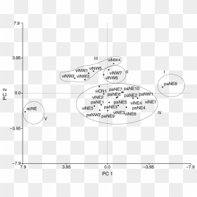 Diagram, HD Png Download - roman numeral 2 png