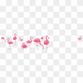 Greater Flamingo, HD Png Download - bird flock png