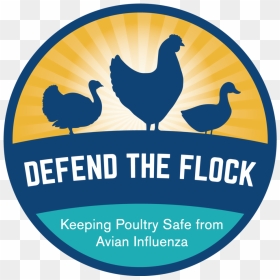Defend The Flock Logo Generic - Rooster, HD Png Download - bird flock png