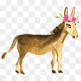 Portable Network Graphics, HD Png Download - burro png