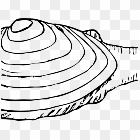 Transparent Clam Clipart - Clip Art Black And White Pikmin, HD Png Download - clams png