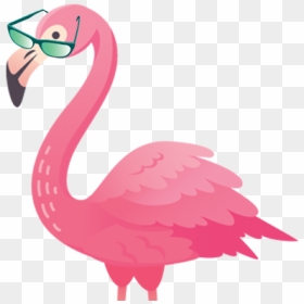Greater Flamingo, HD Png Download - bird flock png