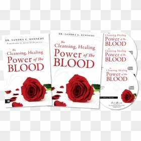 Garden Roses, HD Png Download - blood cut png