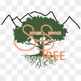 Family Reunion Tree With Roots Clipart , Png Download - Roots Of Tree Drawing, Transparent Png - family reunion png