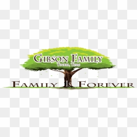 Tree, HD Png Download - family reunion png